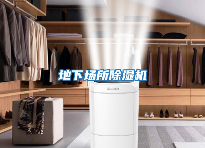 地下場(chǎng)所除濕機