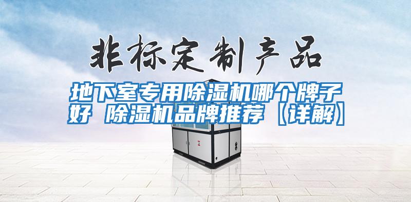 地下室專(zhuān)用除濕機哪個(gè)牌子好 除濕機品牌推薦【詳解】
