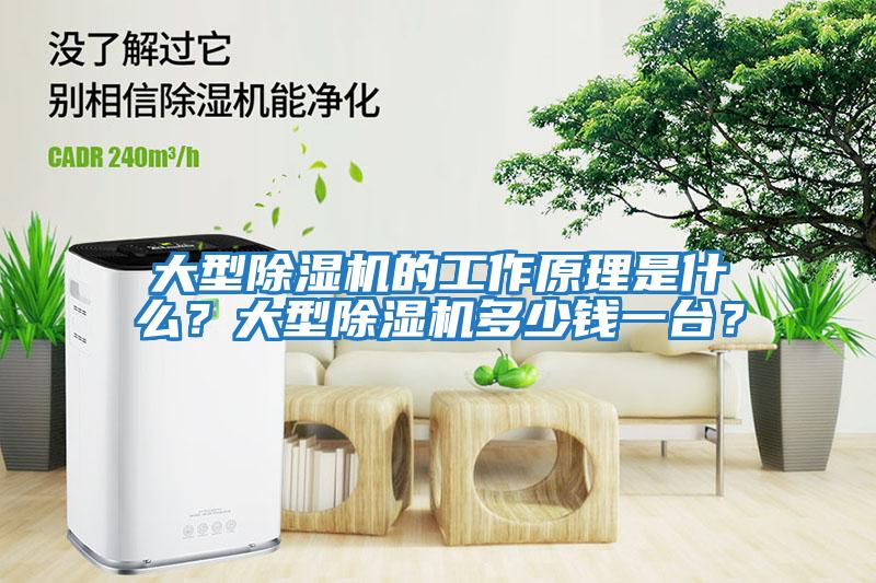 大型除濕機的工作原理是什么？大型除濕機多少錢(qián)一臺？