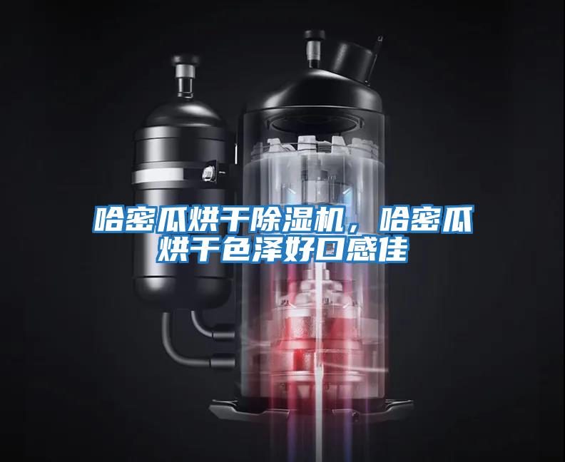 哈密瓜烘干除濕機，哈密瓜烘干色澤好口感佳