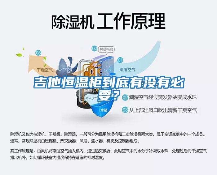 吉他恒溫柜到底有沒(méi)有必要？