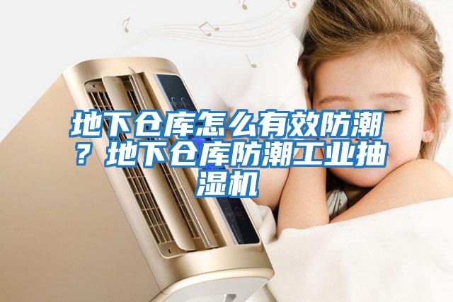 地下倉庫怎么有效防潮？地下倉庫防潮工業(yè)抽濕機