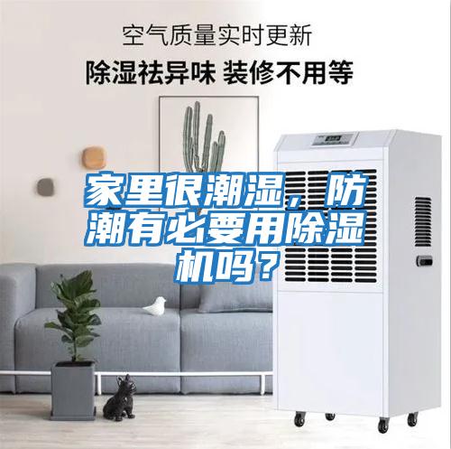 家里很潮濕，防潮有必要用除濕機嗎？