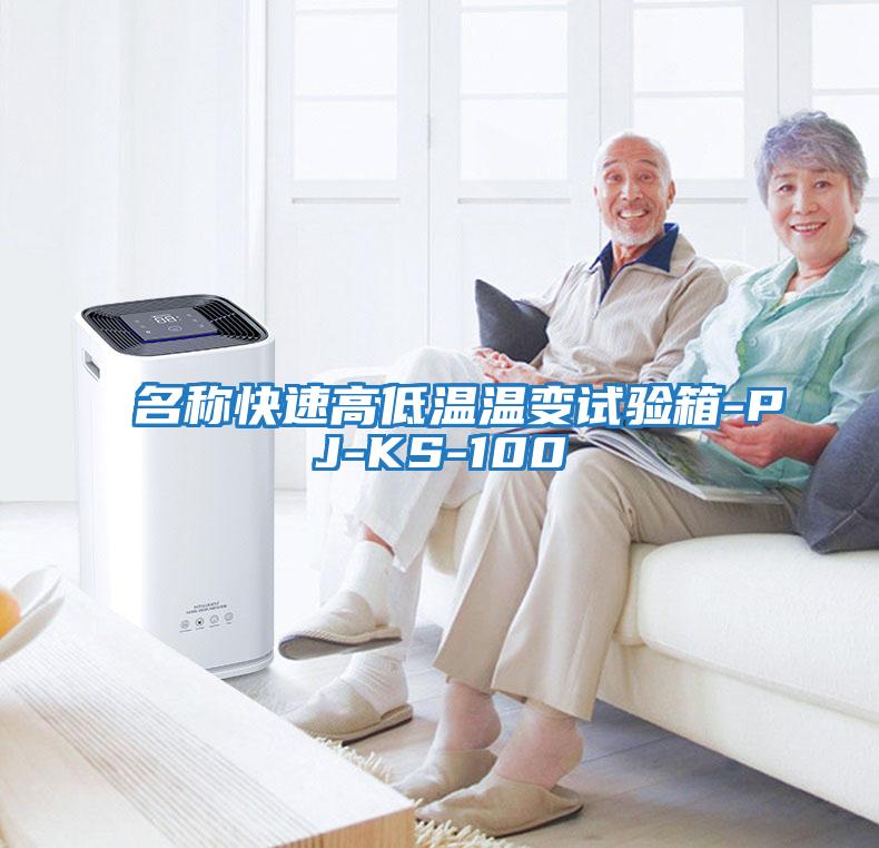 名稱(chēng)快速高低溫溫變試驗箱-PJ-KS-100