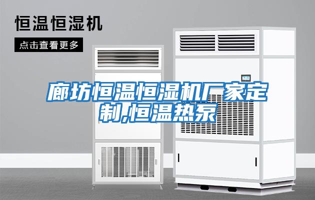 廊坊恒溫恒濕機廠(chǎng)家定制,恒溫熱泵