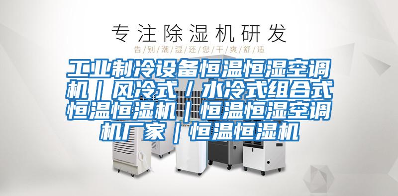 工業(yè)制冷設備恒溫恒濕空調機|風(fēng)冷式/水冷式組合式恒溫恒濕機|恒溫恒濕空調機廠(chǎng)家|恒溫恒濕機