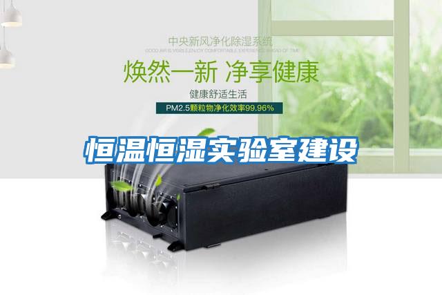 恒溫恒濕實(shí)驗室建設
