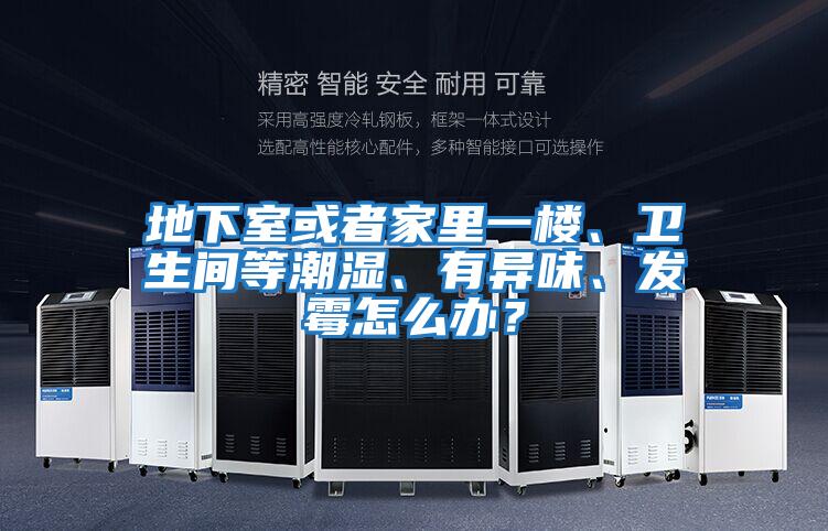 地下室或者家里一樓、衛生間等潮濕、有異味、發(fā)霉怎么辦？