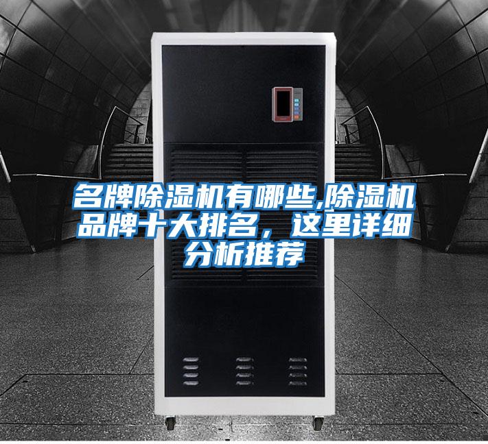 名牌除濕機有哪些,除濕機品牌十大排名，這里詳細分析推薦