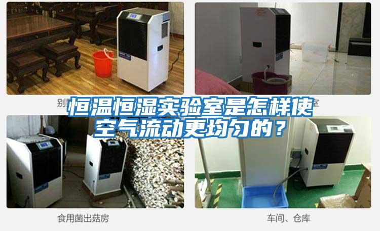 恒溫恒濕實(shí)驗室是怎樣使空氣流動(dòng)更均勻的？