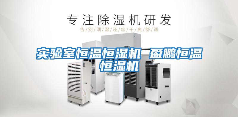 實(shí)驗室恒溫恒濕機 盈鵬恒溫恒濕機