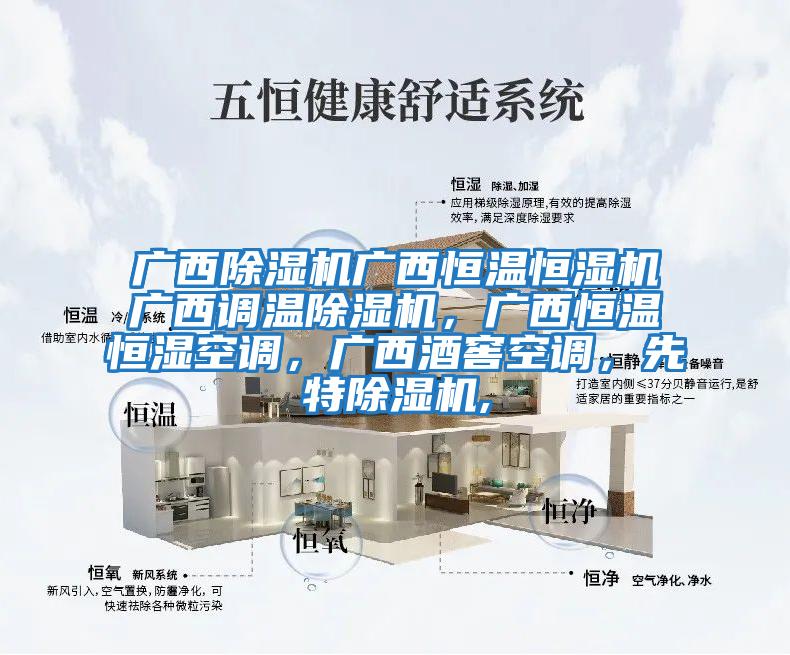 廣西除濕機廣西恒溫恒濕機廣西調溫除濕機，廣西恒溫恒濕空調，廣西酒窖空調，先特除濕機,