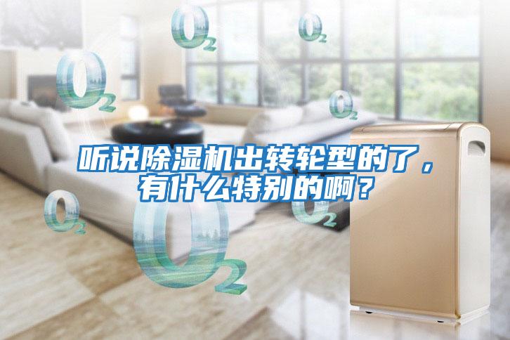聽(tīng)說(shuō)除濕機出轉輪型的了，有什么特別的??？