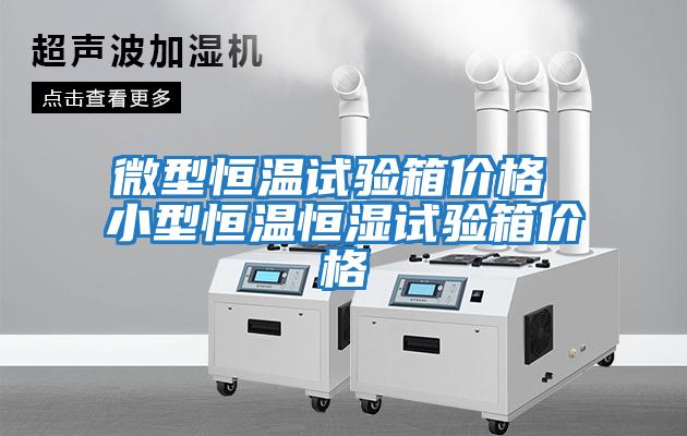 微型恒溫試驗箱價(jià)格 小型恒溫恒濕試驗箱價(jià)格