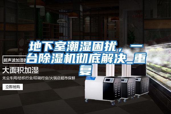 地下室潮濕困擾，一臺除濕機徹底解決_重復