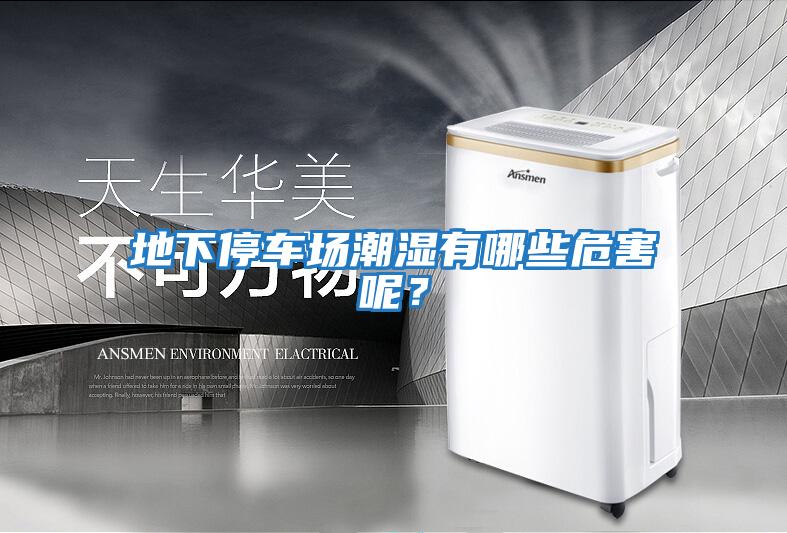 地下停車(chē)場(chǎng)潮濕有哪些危害呢？