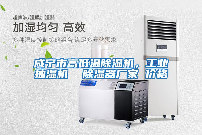 咸寧市高低溫除濕機，工業(yè)抽濕機  除濕器廠(chǎng)家 價(jià)格