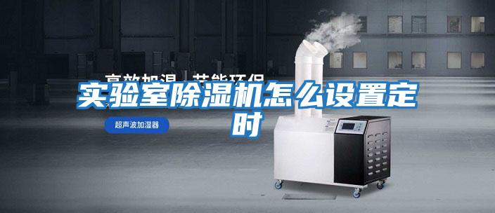 實(shí)驗室除濕機怎么設置定時(shí)