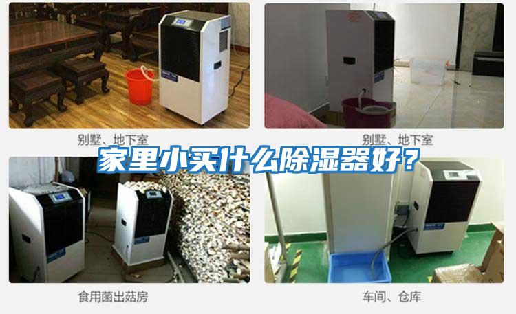 家里小買(mǎi)什么除濕器好？