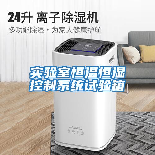 實(shí)驗室恒溫恒濕控制系統試驗箱