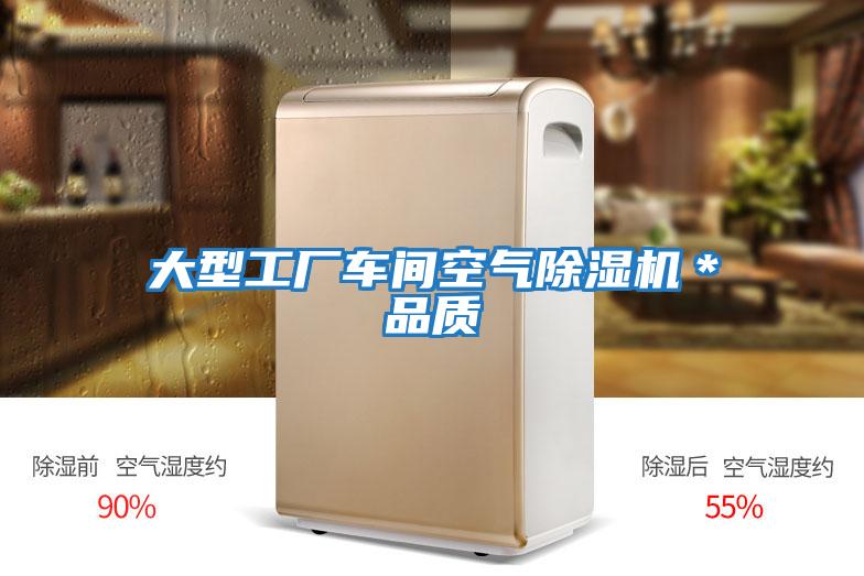 大型工廠(chǎng)車(chē)間空氣除濕機＊品質(zhì)