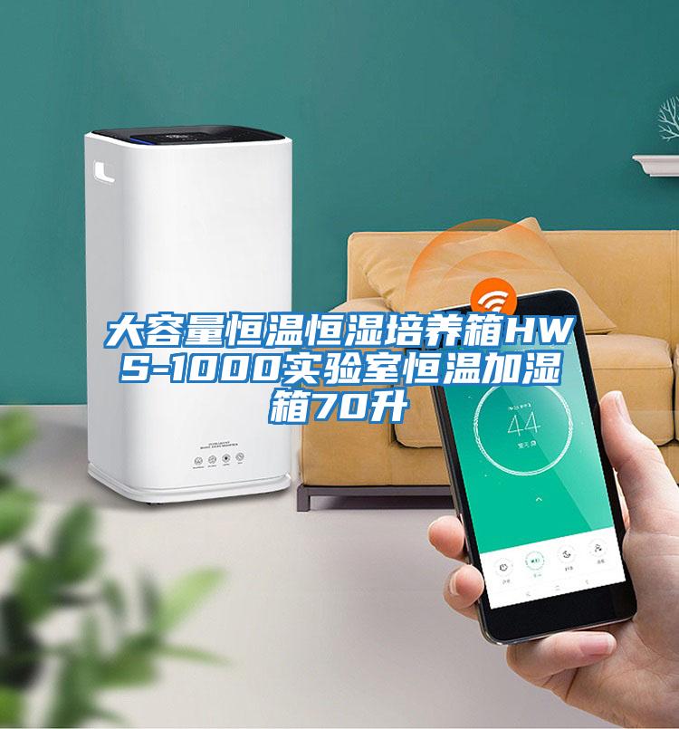 大容量恒溫恒濕培養箱HWS-1000實(shí)驗室恒溫加濕箱70升