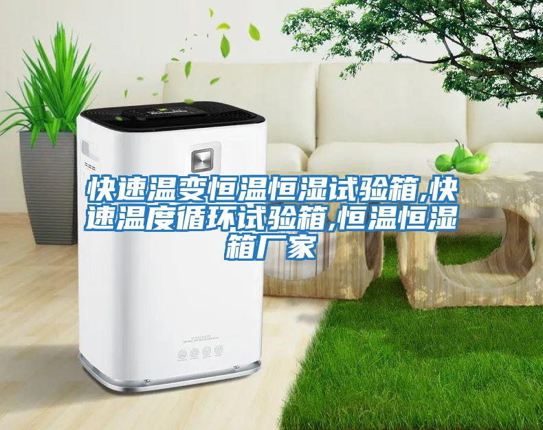 快速溫變恒溫恒濕試驗箱,快速溫度循環(huán)試驗箱,恒溫恒濕箱廠(chǎng)家