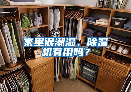 家里很潮濕，除濕機有用嗎？