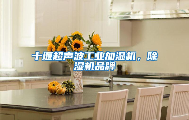 十堰超聲波工業(yè)加濕機，除濕機品牌