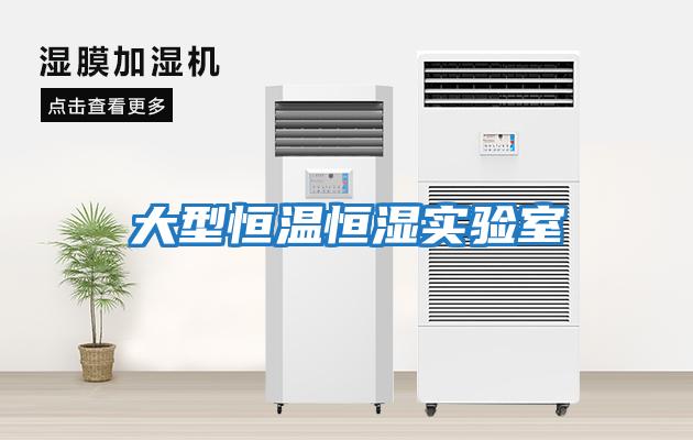 大型恒溫恒濕實(shí)驗室