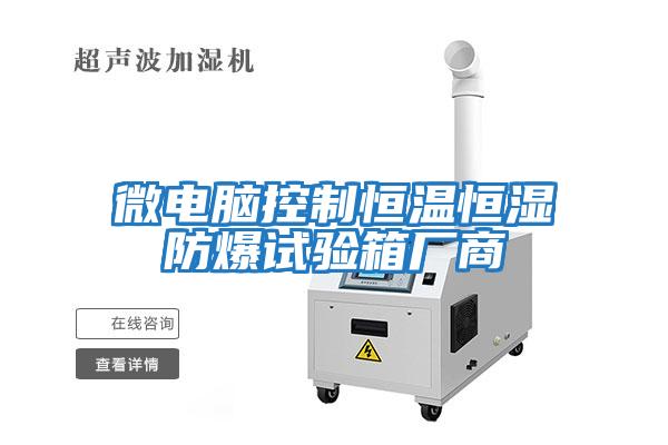 微電腦控制恒溫恒濕防爆試驗箱廠(chǎng)商