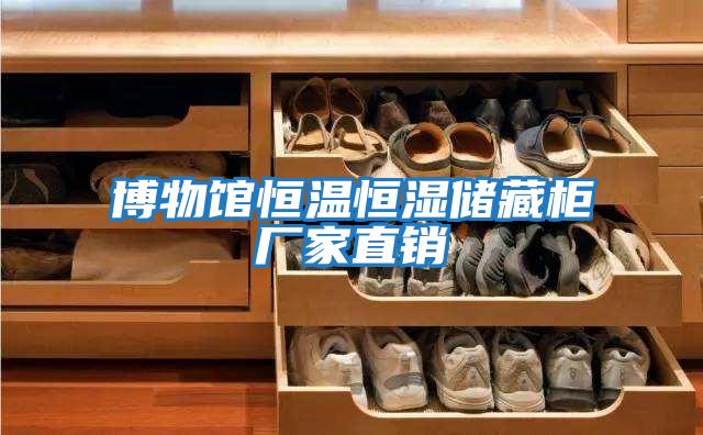 博物館恒溫恒濕儲藏柜廠(chǎng)家直銷(xiāo)