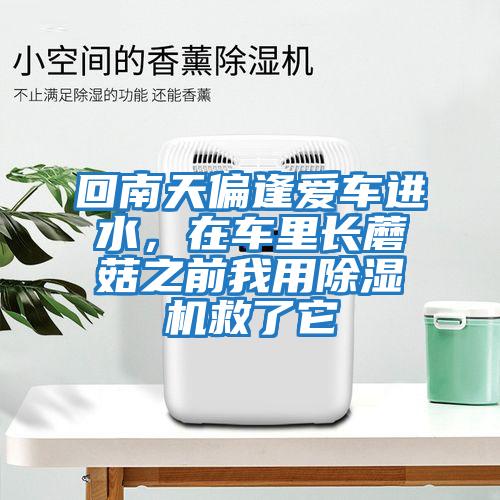 回南天偏逢愛(ài)車(chē)進(jìn)水，在車(chē)里長(cháng)蘑菇之前我用除濕機救了它