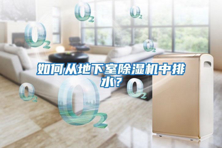 如何從地下室除濕機中排水？