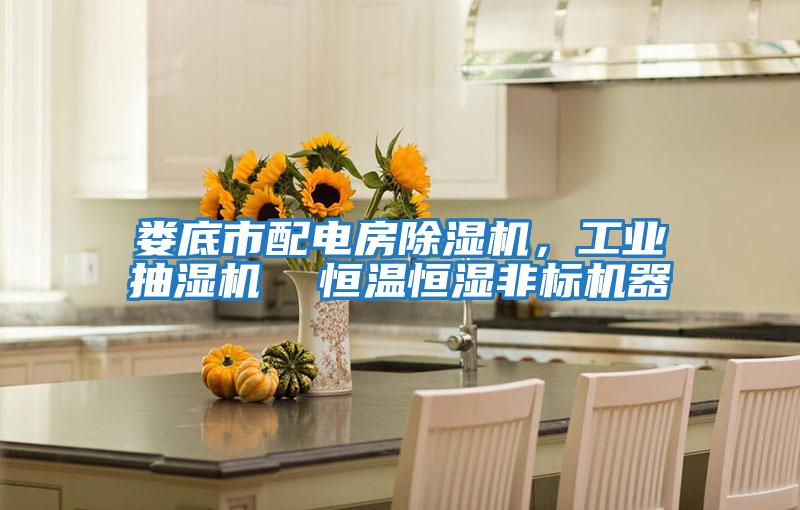 婁底市配電房除濕機，工業(yè)抽濕機  恒溫恒濕非標機器
