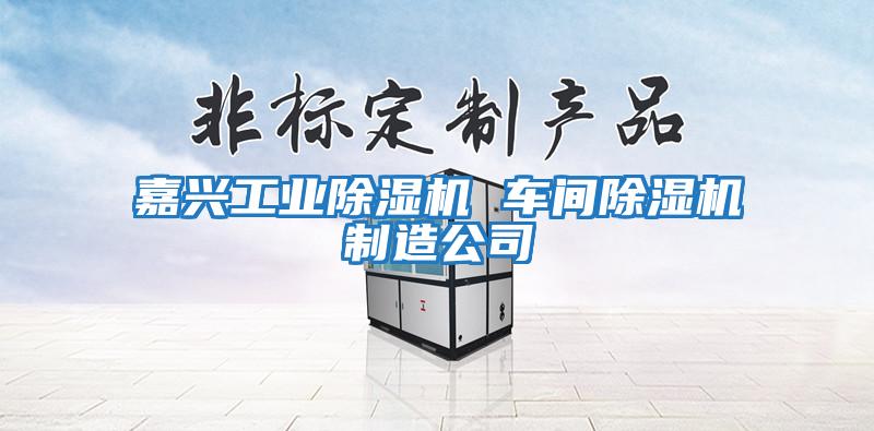 嘉興工業(yè)除濕機 車(chē)間除濕機制造公司