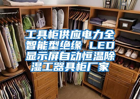 工具柜供應電力全智能型絕緣 LED顯示屏自動(dòng)恒溫除濕工器具柜廠(chǎng)家
