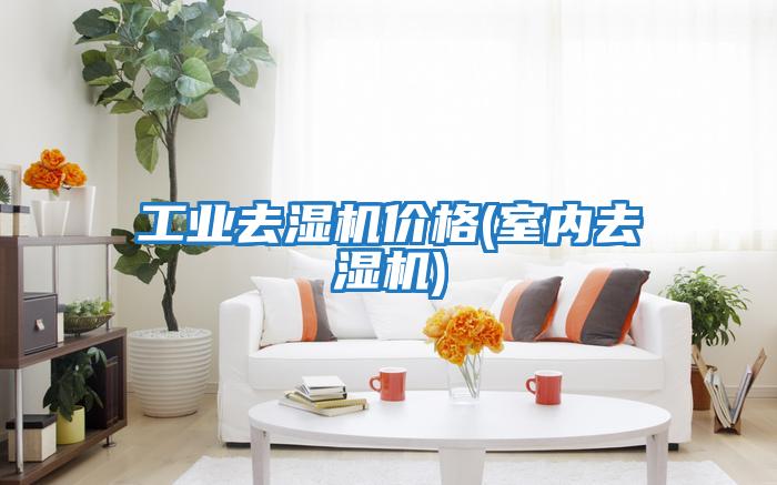 工業(yè)去濕機價(jià)格(室內去濕機)