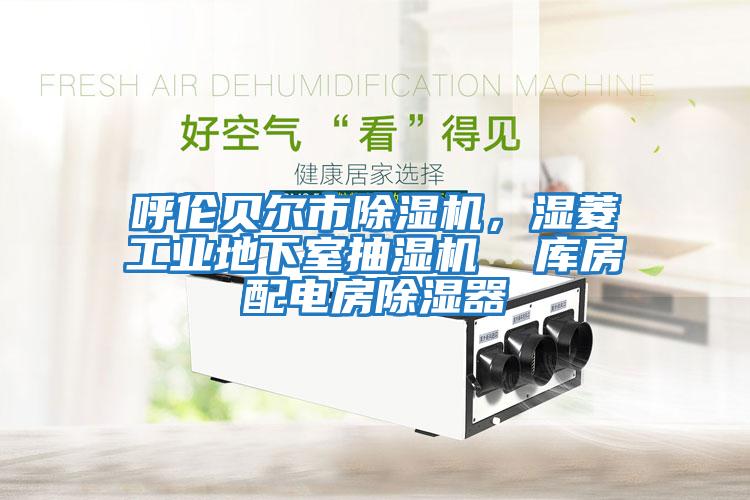 呼倫貝爾市除濕機，濕菱工業(yè)地下室抽濕機  庫房配電房除濕器