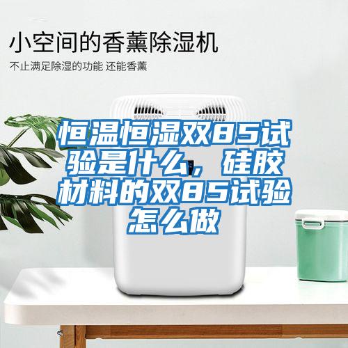 恒溫恒濕雙85試驗是什么，硅膠材料的雙85試驗怎么做