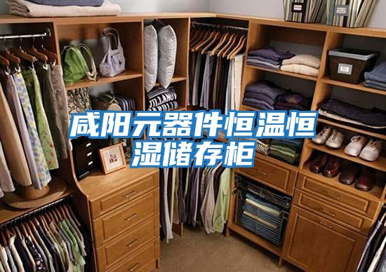 咸陽(yáng)元器件恒溫恒濕儲存柜