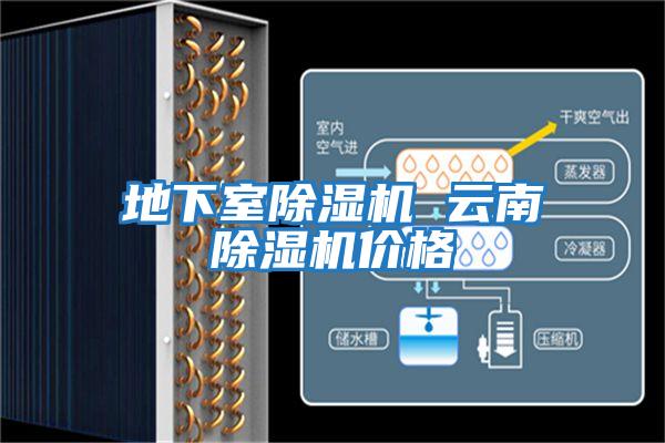 地下室除濕機 云南除濕機價(jià)格