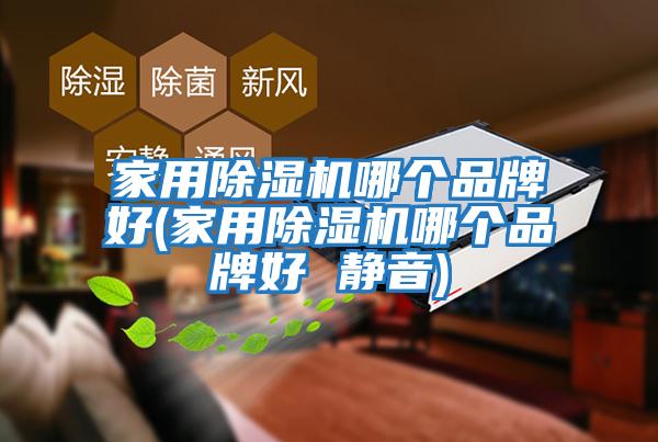 家用除濕機哪個(gè)品牌好(家用除濕機哪個(gè)品牌好 靜音)
