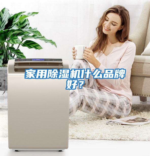 家用除濕機什么品牌好？