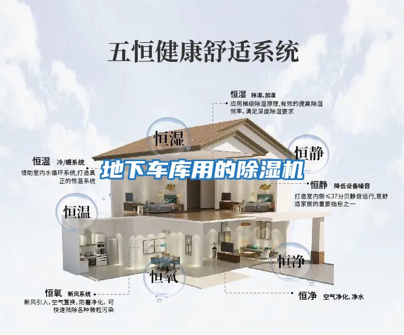 地下車(chē)庫用的除濕機