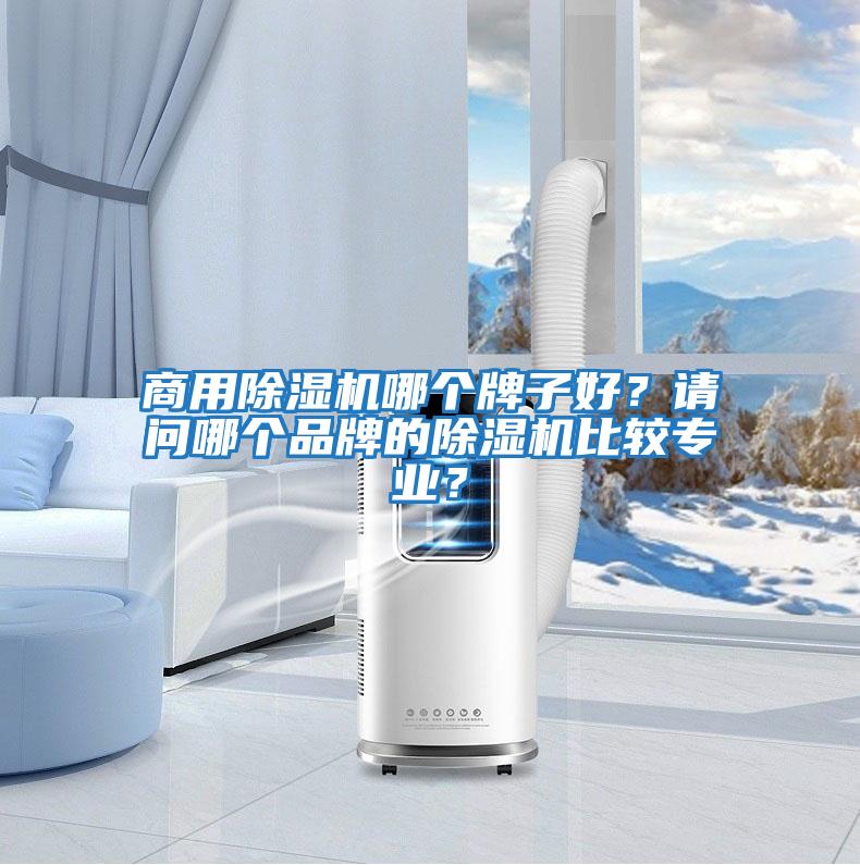 商用除濕機哪個(gè)牌子好？請問(wèn)哪個(gè)品牌的除濕機比較專(zhuān)業(yè)？