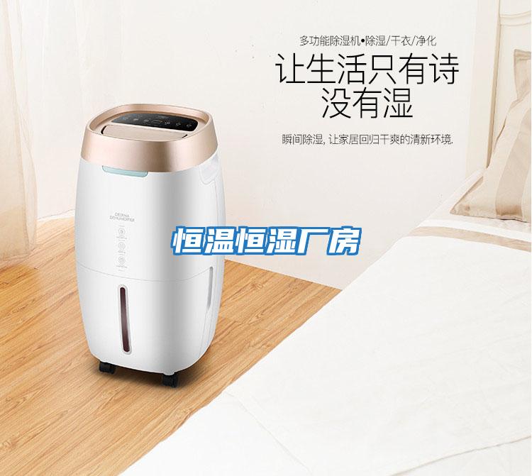 恒溫恒濕廠(chǎng)房