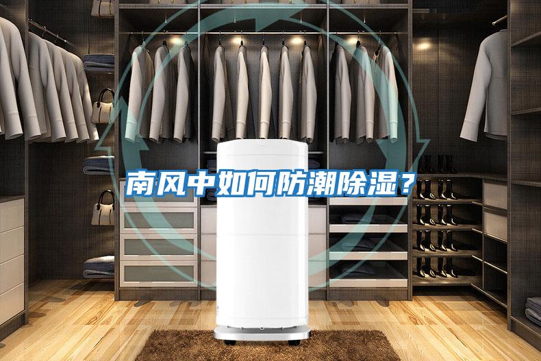 南風(fēng)中如何防潮除濕？