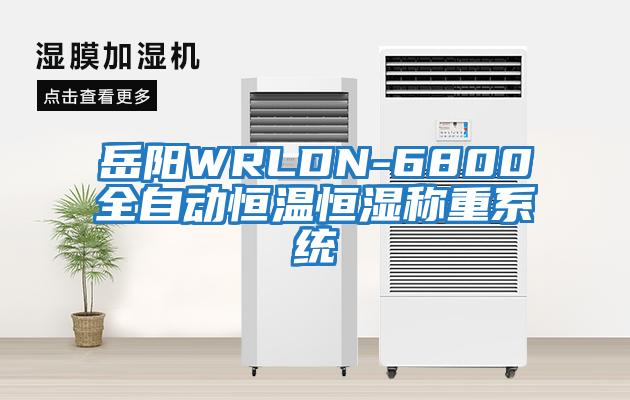 岳陽(yáng)WRLDN-6800全自動(dòng)恒溫恒濕稱(chēng)重系統
