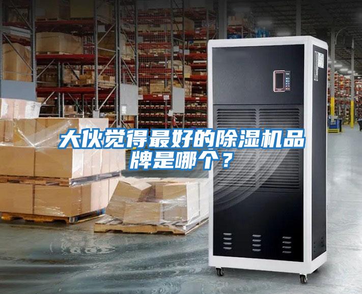 大伙覺(jué)得最好的除濕機品牌是哪個(gè)？